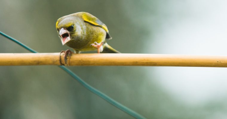 Comment gérer la colère chez votre enfant ?